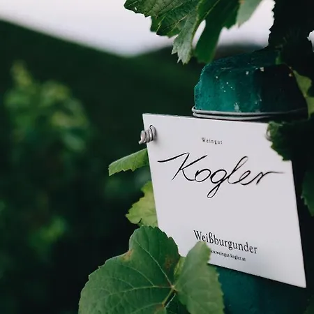 Winzer Kogler Leutschach