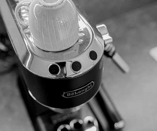 Winzer Kogler Alojamento de Turismo Selvagem *