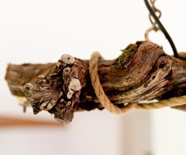 بيت خشبي Winzer Kogler ليوتسشاخ