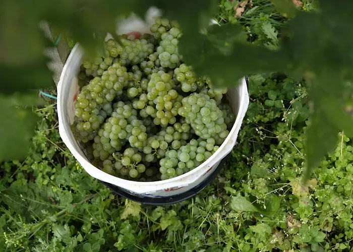 Winzer Kogler بيت خشبي ليوتسشاخ