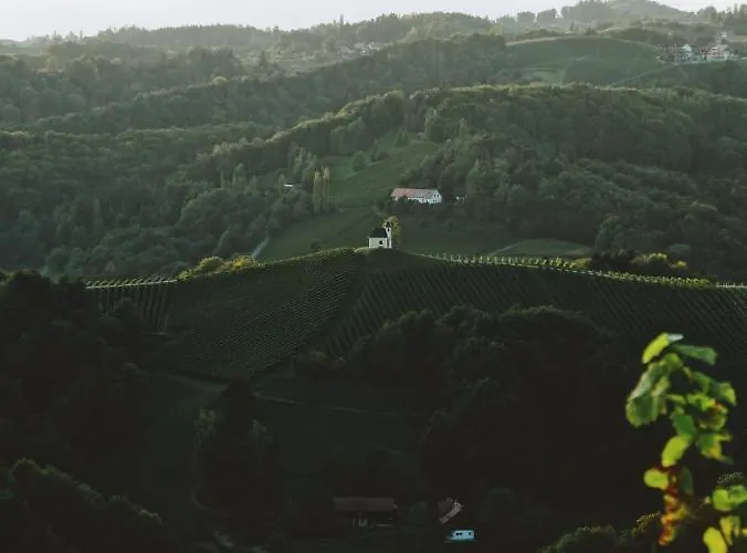 بيت خشبي Winzer Kogler *