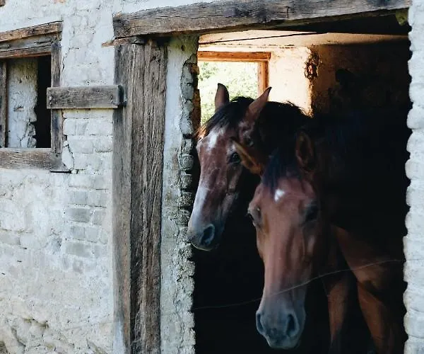 Winzer Kogler Lodge *